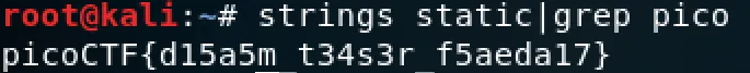 strings 搭配 grep pico 的執行結果